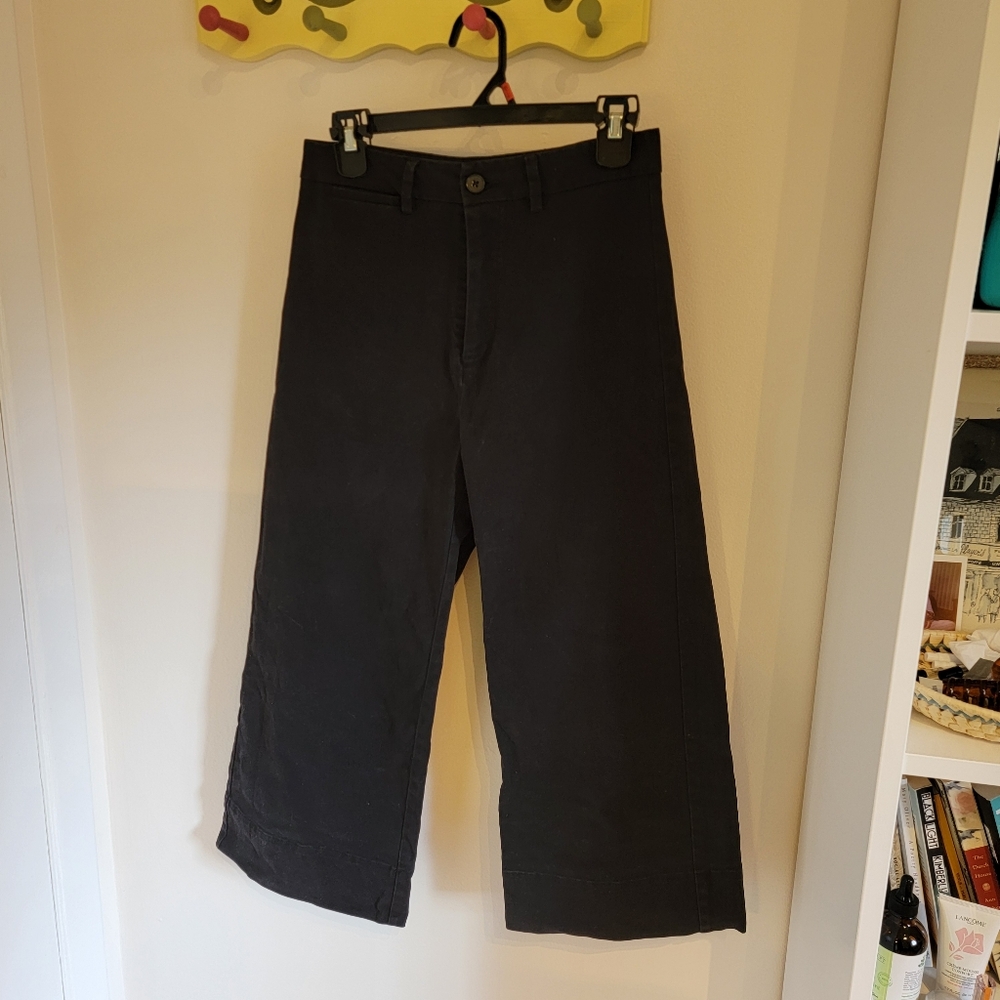 Frank & Oak Josephine Cropped Wide Leg Pants